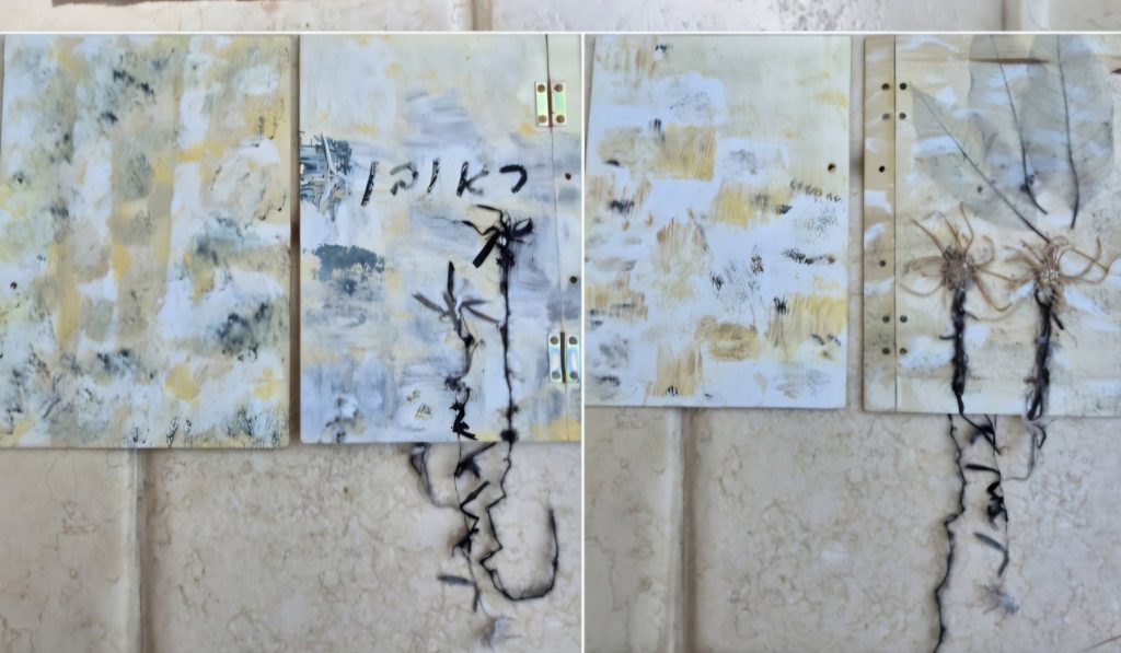 סדרת ספרים ואובייקטים