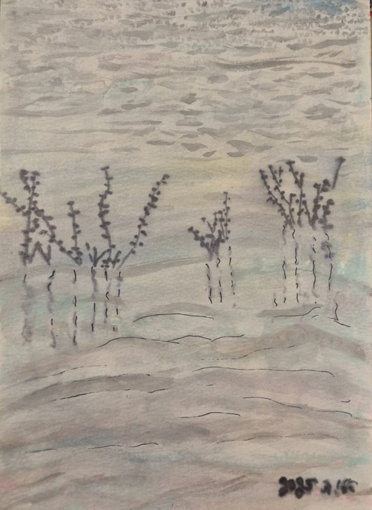 עבודה מסדרת פרחים וצמיחה